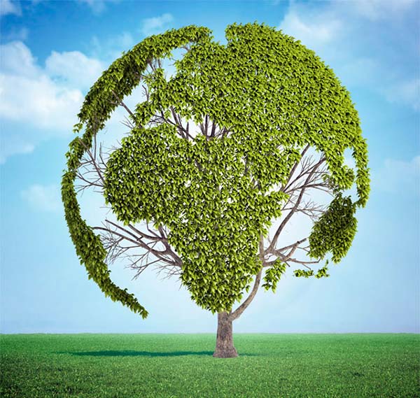 糟渣烘干機 糟渣烘干機