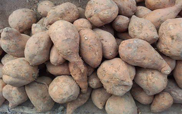 薯渣烘干機(jī)如何順利過(guò)環(huán)評(píng)