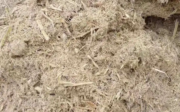 甘蔗渣烘干前 甘蔗渣烘干前