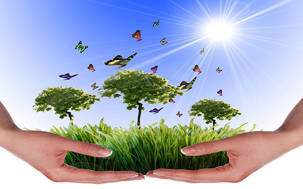 木薯渣烘干設備生產線結構由哪些部分組成 木薯渣烘干設備生產線結構由哪些部分組成